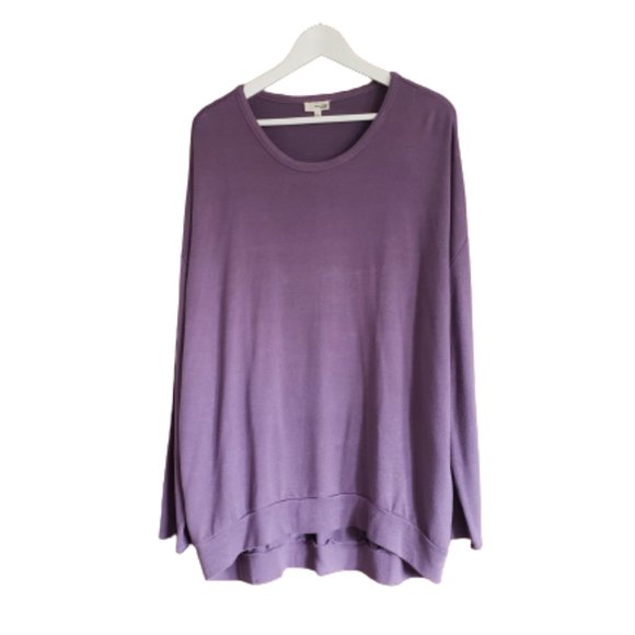 Aritzia Wilfred Free purple Comet sweatshirt tee